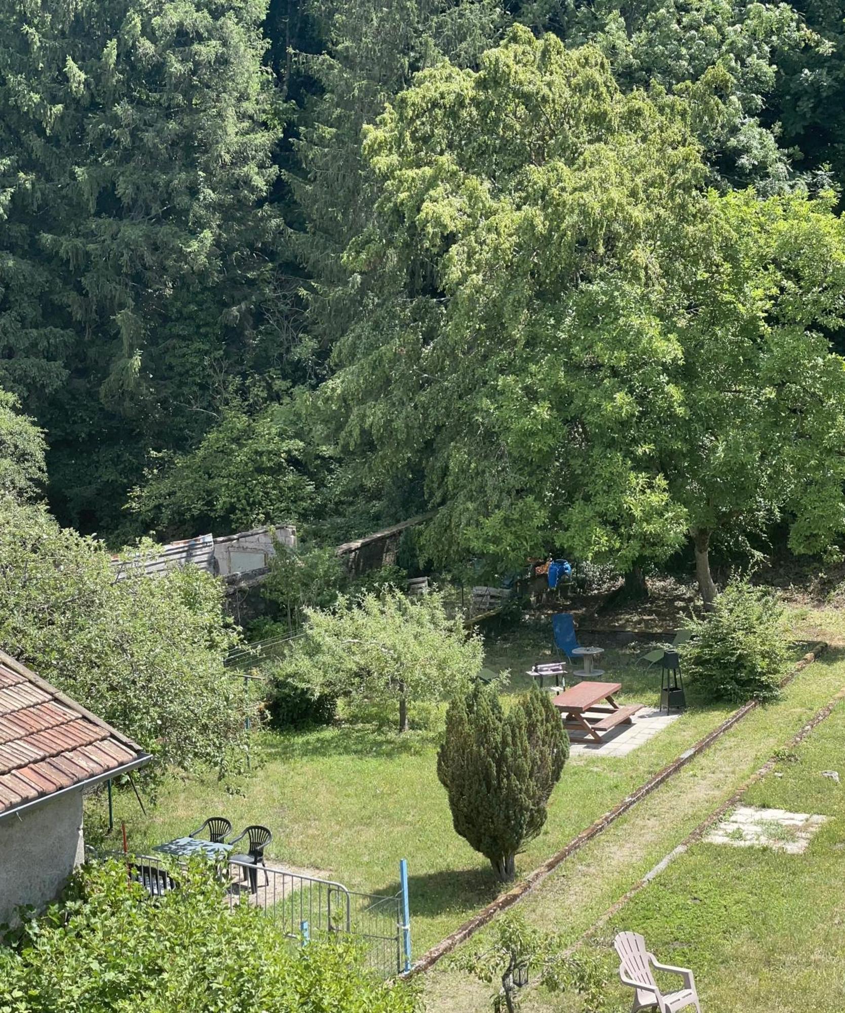 Appartement « Chez Falco » Vue Sur Le Chateau Schirmeck Kültér fotó